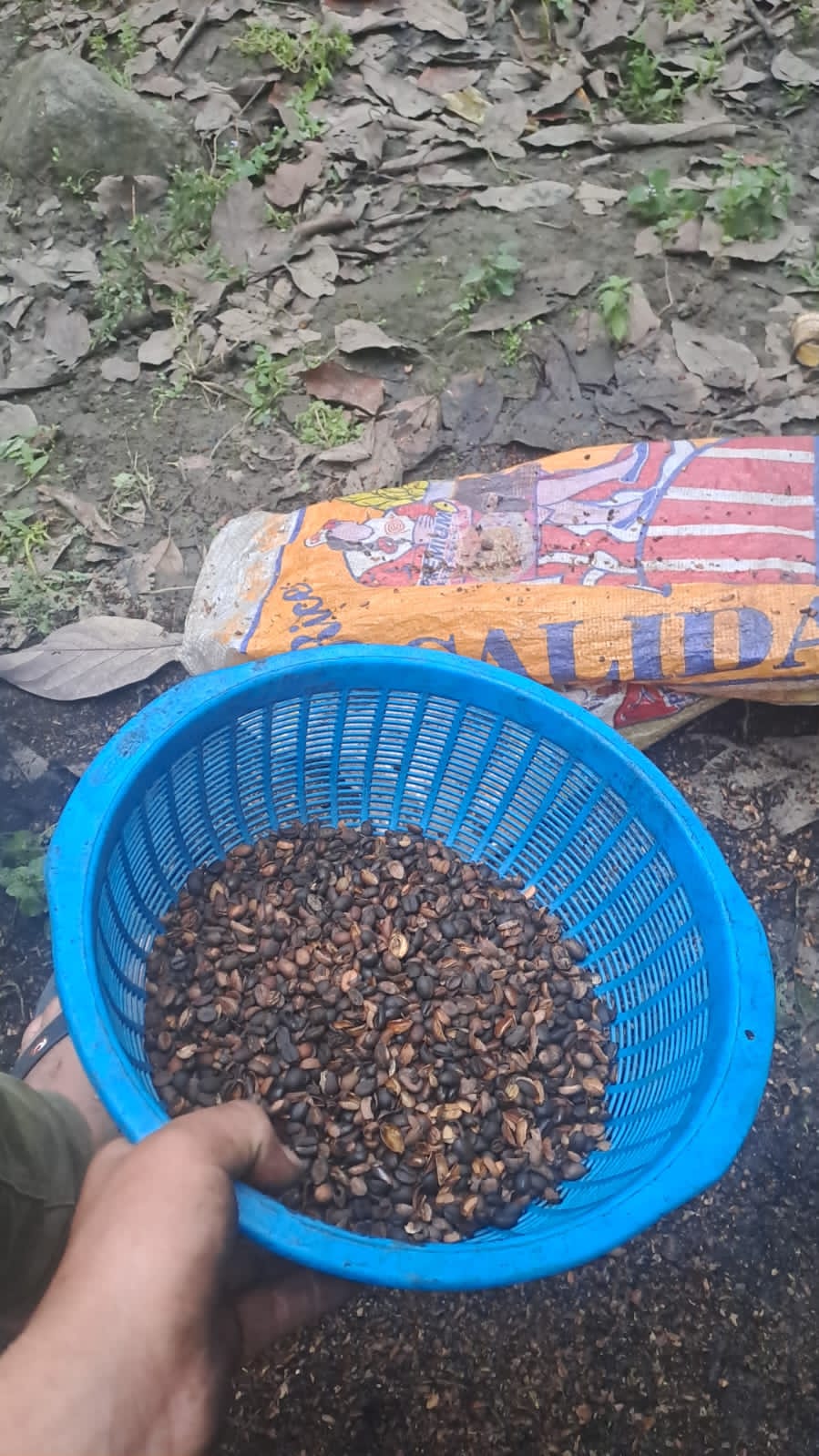 Imagen de galería