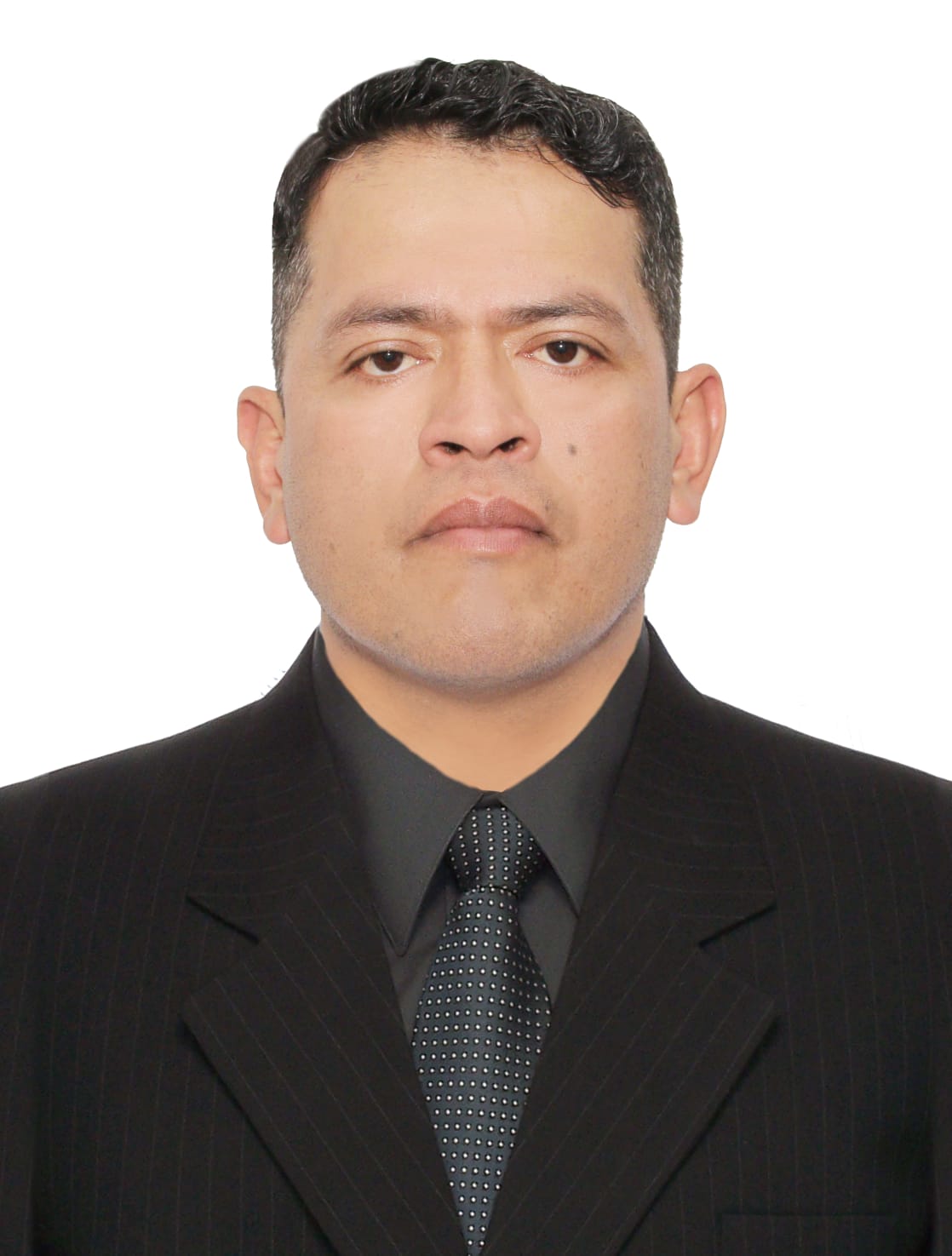 ING. LUIS HILDEBRAND GARCIA GUERRERO
